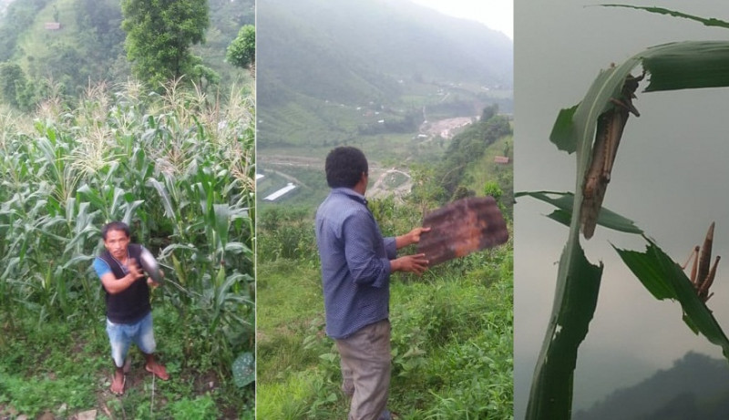 सलहले १० जिल्लामा सबैभन्दा बढी क्षति